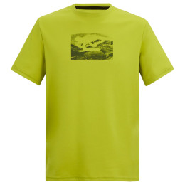 Herren-T-Shirt Regatta Fingal grün DARK TANG