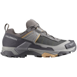 Damenschuhe Salomon X Ultra 5 Gore-Tex grau Plum Kitten / Nine Iron / Soft Clay