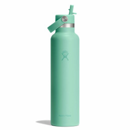 Thermokanne Hydro Flask Standard Flex Straw Cap 21 oz