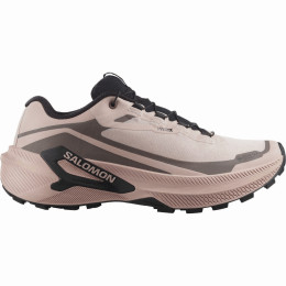 Damen Laufschuhe Salomon Genesis 2 Gtx W