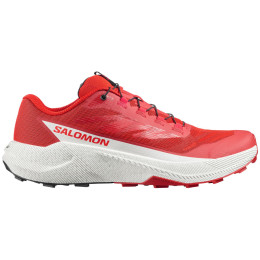 Herrenschuhe Salomon Pulsar