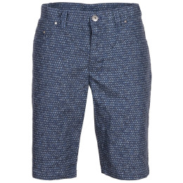 Herrenshorts Alpine Pro Marg