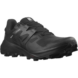 Herrenschuhe Salomon Wildcross 2 Gore-Tex schwarz Black(PantoneTapShoe)