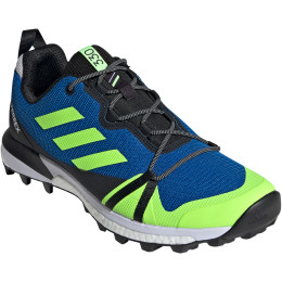 Herrenschuhe Adidas Terrex Skychaser LT Gtx blau/grün Gloryblue