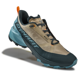 Herrenschuhe Dynafit Transalper 2 Gtx