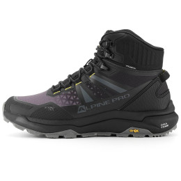 Schuhe Alpine Pro Evane