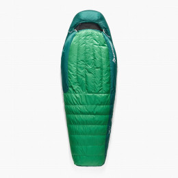Daunenschlafsack Sea to Summit Ascent -1C Long grün Rain Forest Green