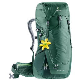 Damenrucksack Deuter Futura 24 SL (2020) grün SeagreenForest