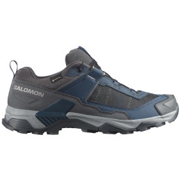 Wanderschuhe Salomon X Ultra 5 Gore-Tex
