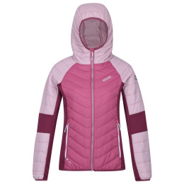 Damenjacke Regatta Womens Trutton rosa Violet/FLilc