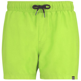 Herrenbadeanzug Regatta Mawson Swim Shorts III