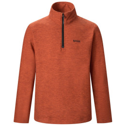 Herren Funktions-Sweatshirt Regatta Thompson Marl
