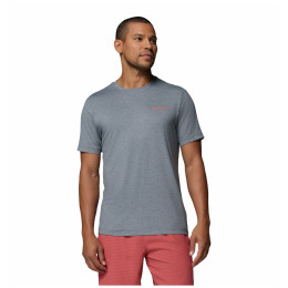 Herren-T-Shirt Columbia Parsons Point™ SS Back Graphic Tee grau City Grey Heather, Linear Peaks