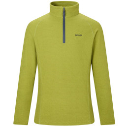 Herren-Sweatshirt Regatta Montes M