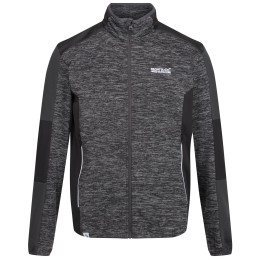 Herren-Sweatshirt Regatta Coladane schwarz Ash/Black