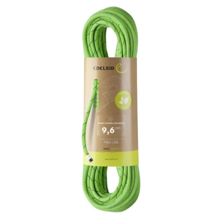 Seil Edelrid Tommy Caldwell Eco Dry DT 9,6mm 80 m grün 499 neon green