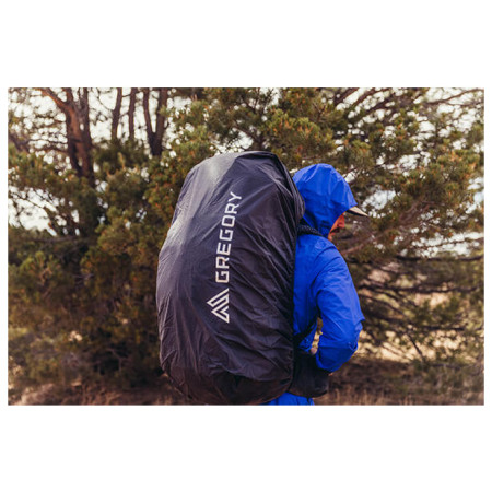 Wanderrucksack Gregory Baltoro 100 Pro