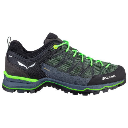 Herrenschuhe Salewa Ms Mtn Trainer Lite Gtx