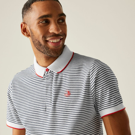 Herren-T-Shirt Regatta Tiver