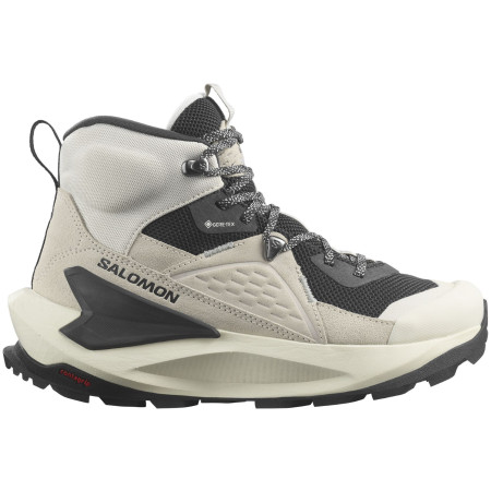 Damenschuhe Salomon Elixir Mid Gore-Tex