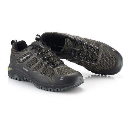 Herrenschuhe Alpine Pro Musswe