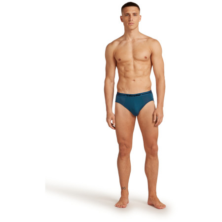 Herrenslips Icebreaker Mens Anatomica Briefs