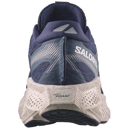 Herren Laufschuhe Salomon Aero Glide 4