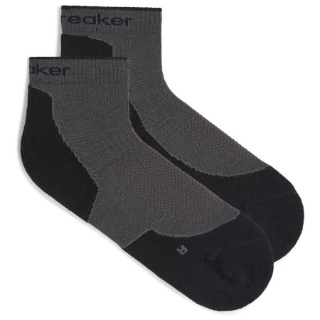 Damensocken Icebreaker W Mer Hike+ Light Mini
