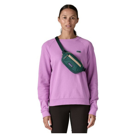 Hüfttasche Patagonia Terravia Mini Hip Pack