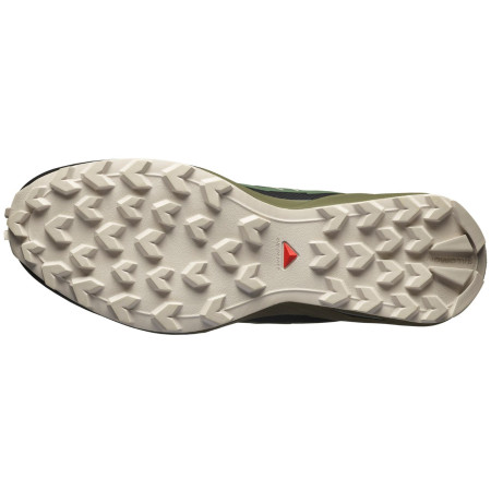 Herrenschuhe Salomon Speedcross Peak