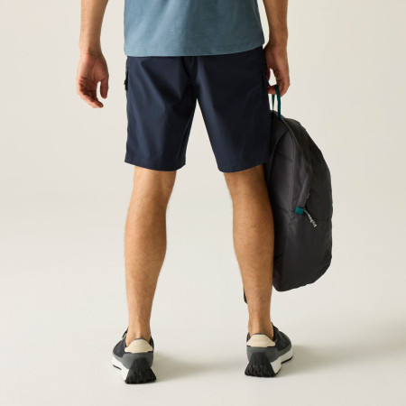 Herrenshorts Regatta Arlery Shorts