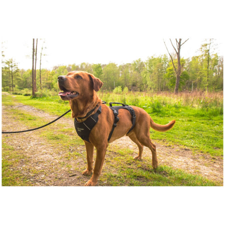 Hundegeschirr Mountain Paws 3-Strap Dog Harness