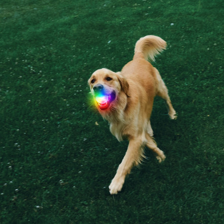Hundespielzeug Nite Ize Glowstreak Rechargeable Led Ball