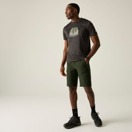 Herrenshorts Regatta Highton Shorts Long II