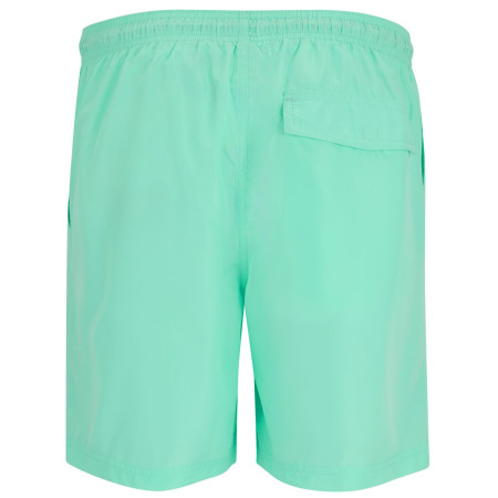 Herrenshorts Regatta Mackleyna Swim Short