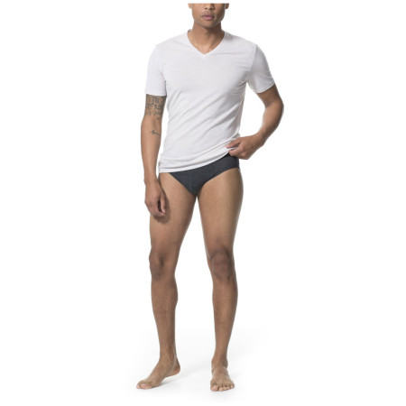 Herrenslips Icebreaker Mens Anatomica Briefs