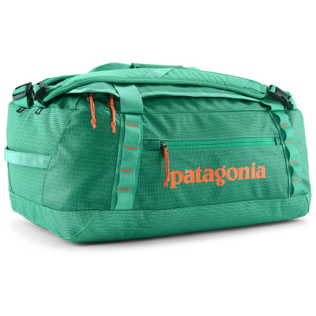 Reisetasche Patagonia Black Hole Duffel 40L