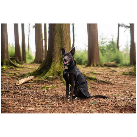 Regenmantel für Hunde Mountain Paws Fleece-Lined Dog Raincoat