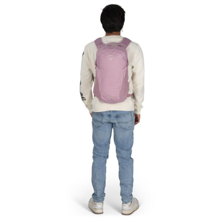 Urban-Rucksack Osprey Daylite
