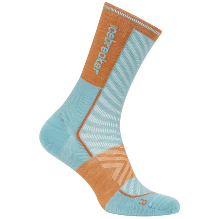 Herrensocken Icebreaker Men Merino Run+ Ultralight Mini