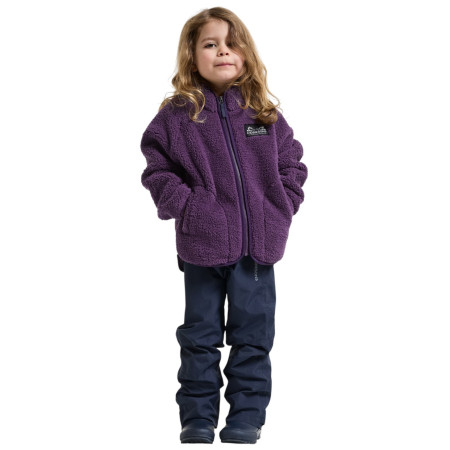 Kinder-Sweatshirt Didriksons Gibbs Kids Fullzip 2 Northen Purple
