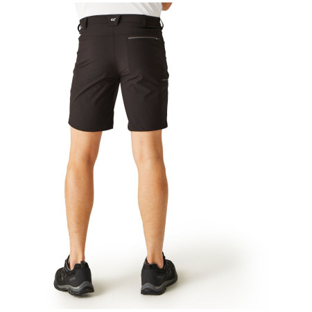 Herrenshorts Regatta Xert Stretch Shorts III