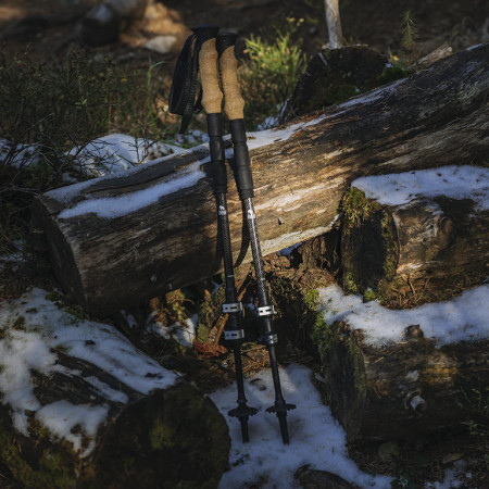 Trekkingstöcke richtig auswählen
