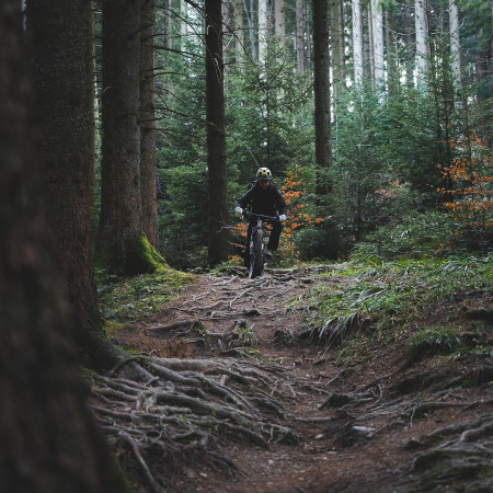 Was ist ein Trail?