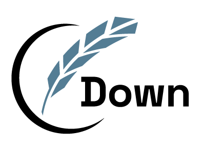 Down