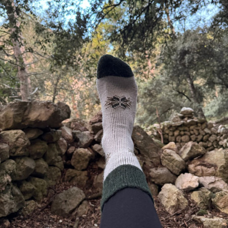 TEST: Socken Warg Nordic