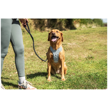 Hundegeschirr Mountain Paws Reflective Dog Harness