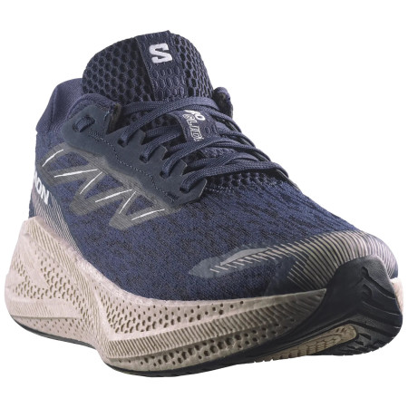 Herren Laufschuhe Salomon Aero Glide 4
