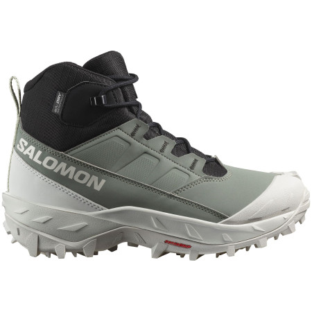 Damenschuhe Salomon Crosstrak Waterproof