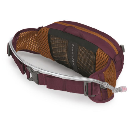 Hüfttasche Osprey Seral 4